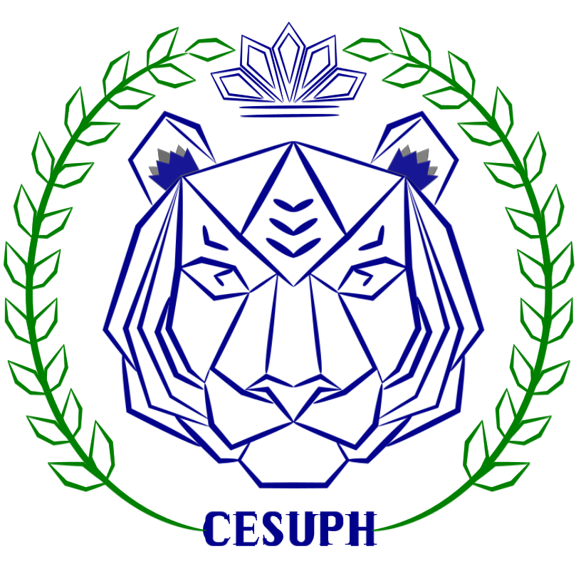 Centro de Estudios Superiores de Hidalgo CESUPH
