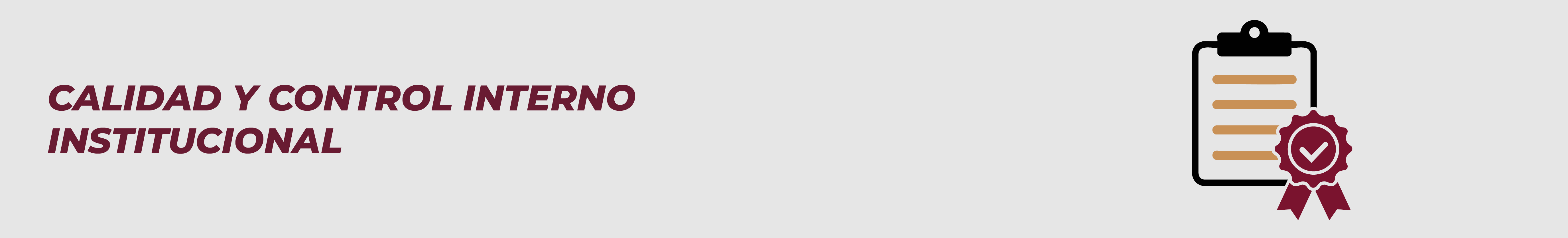 Calidad y Control Interno Institucional